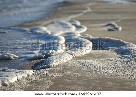 Green grey foam at beach