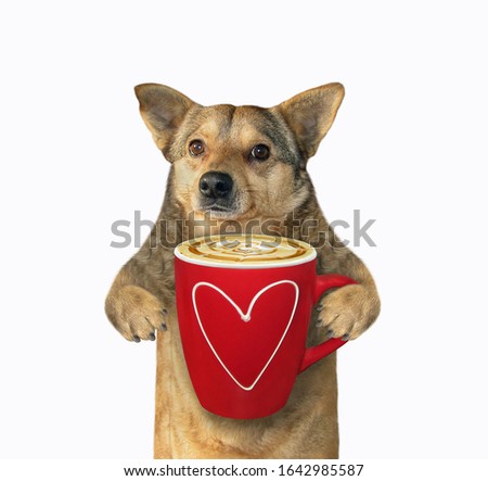 The beige dog holds a big red cup of latte. White background. Isolated.