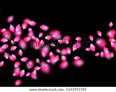 Pink scarlet flower petal falling down confetti vector. Spring blossom flying petals, isolated pattern on black background grid of white and grey squares. Apple or peach bloom flower parts design.