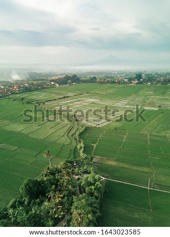 Drone shoots of amazing bali rice paddies 