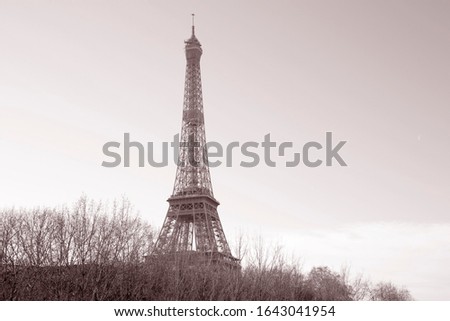 Eiffel Tower and Bare Trees in Paris; France in Black and White Sepia Tone