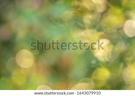 Abstract background, Blurred nature background at the woods.