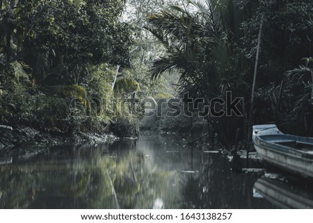 Moody photograph of one of the waterways in the Mekong Delta around Can Tho near the floating markets.