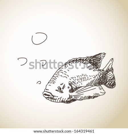 Sketch of fish Vector illustration
