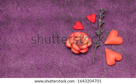 Valentine's day, international women's day, flowers, hearts, kisses
