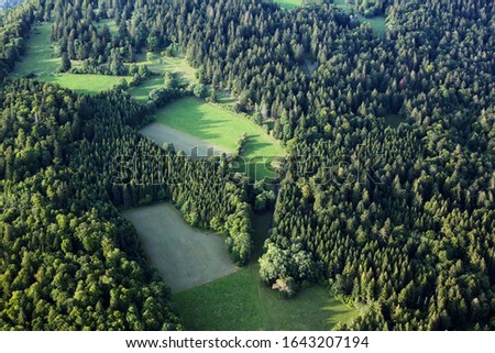 Trees park grass nature green tourism Royalty-Free Stock Photo #1643207194