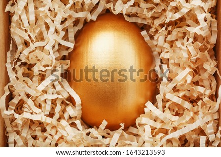 Golden egg in a box according to the concept of exclusivity, the best choice, a prize, a special surprise, an expensive gift.