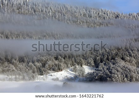 cold snow trees frost winter Royalty-Free Stock Photo #1643221762