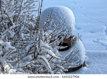 winter frost tree snow white cold Royalty-Free Stock Photo #1643227906