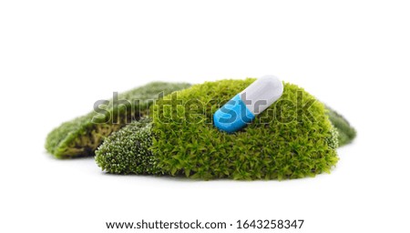 Green beautiful moss with tablet isolated on a white background.