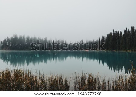 Water reflections from across the peninsula of Emerald Lake surrounded by towering pine trees and thick eerie fog in Yoho National Park, BC, Canada. Royalty-Free Stock Photo #1643272768