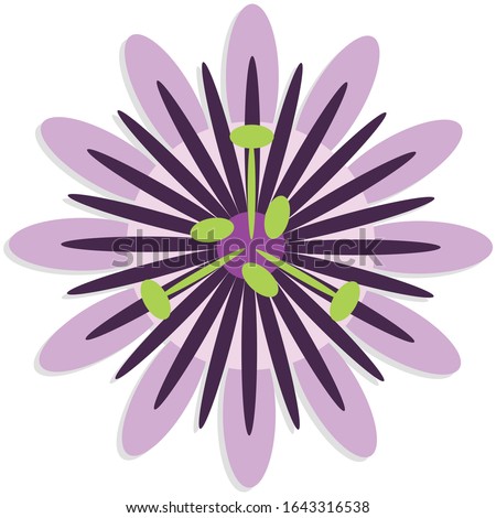 Passiflora  Simple Illustration Clip Art Vector