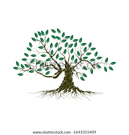 tree and roots vector illustrations, mangrove tree eps 10