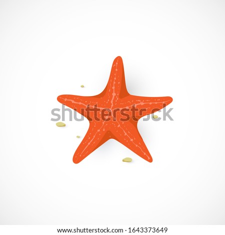 Vector cartoon icon of red Starfish isolated on white background. Marine Sea Star illustration in flat style for summer design, print, vacation concept. Marine invertebrates. 