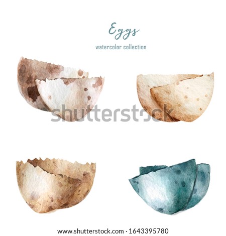 Cracked eggshell. Watercolor hand drawn set egg shell halves over white isolated background. Easter collection