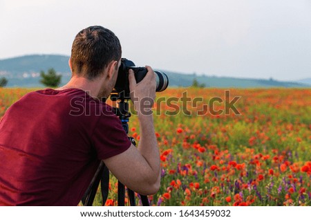 Photographer taking picture of poppy field at sunset