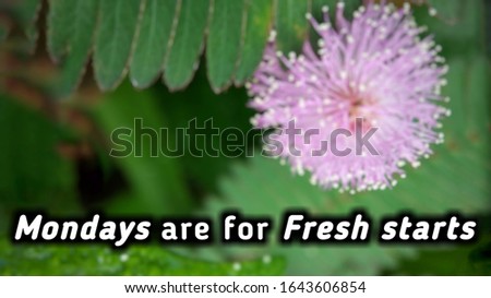 Inspirational and motivational quotes "mondays are for fresh starts" with blurry nature background.