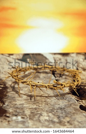 thorn crown and sunrise on stony ground