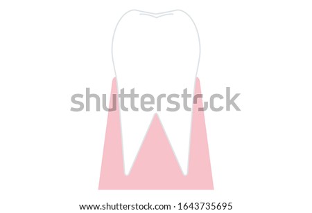 Very simple tooth cross section