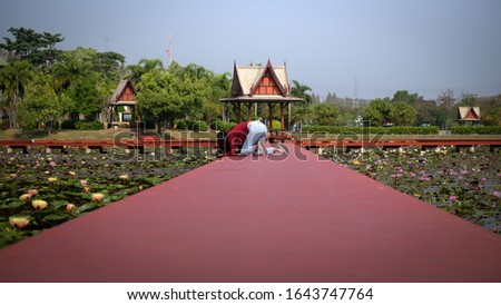 Tourists bowing down to take pictures of lotus flowers in lotus park,sakon nakhon province,thailand.