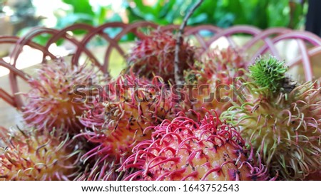 The rambutan or Nephelium lappaceum is native to Indonesian archipelago and other regions of tropical Southeast Asia.