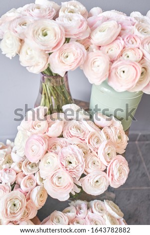 Spring background, flower Wallpaper. Persian buttercup. Bunch pale pink ranunculus flowers on light gray background. Glass vase on vintage wooden table. Wallpaper