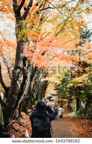 A Photography man take a photo in garden autumn at Japan,travel concept vlog concept vertical background 