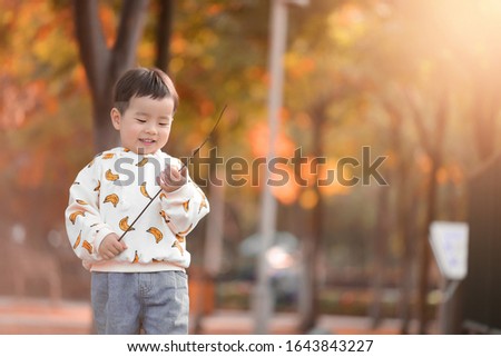 A cute little boy playing with a branch