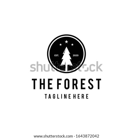 Illustration Vintage nature Evergreen, Pines, Spruce, Cedar trees logo design
