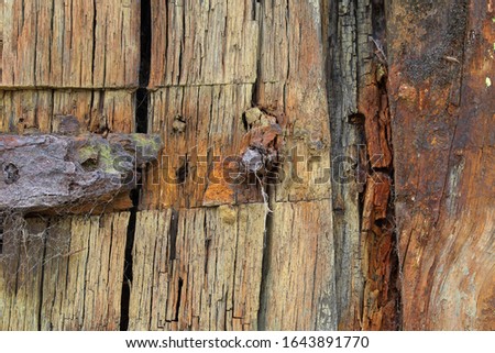 A close-up of weathered wood and corroded metal