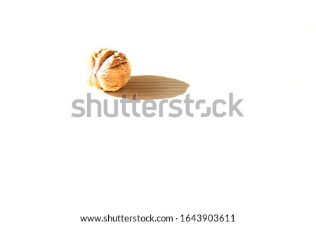 Walnut close up on a white background , bright light