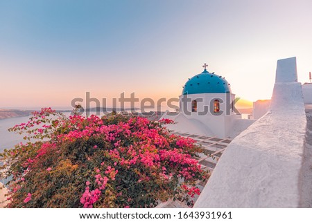 Amazing sunset landscape with famous travel destination. Luxury travel view, flowers over white architecture in Santorini, Oia under colorful sky. Fantastic vacation banner for postcard or wallpaper.