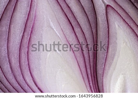 Red onion cut in half, with artificial lighting, macro photo. The element of the vegetarian menu. Background for decoration.