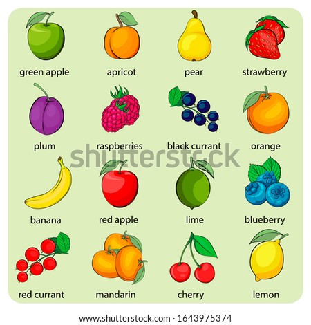 Stock vector set of fruits and berries graphic object illustration. Fruits berries colorful icons collection. Vector