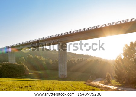 Bridge structure from underneath with background forest