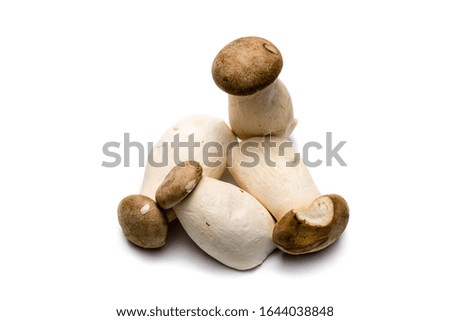 king oyster mushroom isolated on white background