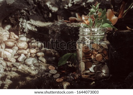 Coin in the bottle and plant growing with savings money , Business investment and saving growth concept.
