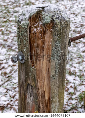 simple picture of an old and rotten tree trunk
