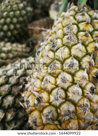 pineapple in a closeup picture