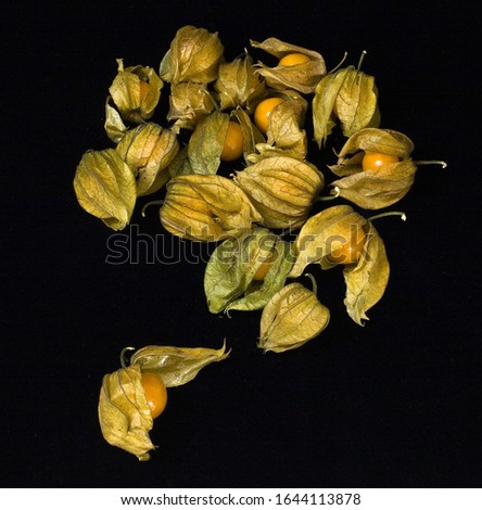 A vertical picture of cape gooseberries under the lights against a black background