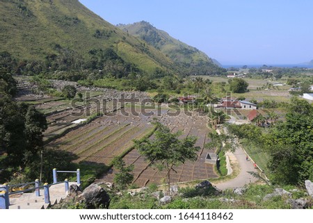 
beautiful views of Lake Toba, churches and rice fields and pine trees on a hill in Bakkara, North Sumatra