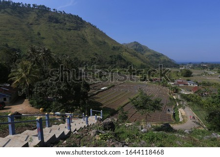 
beautiful views of Lake Toba, churches and rice fields and pine trees on a hill in Bakkara, North Sumatra