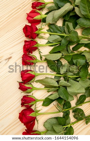 Red roses lie on a wooden table in a line. Vertical frame. Postcard to the day of lovers, March 8. Selective focus