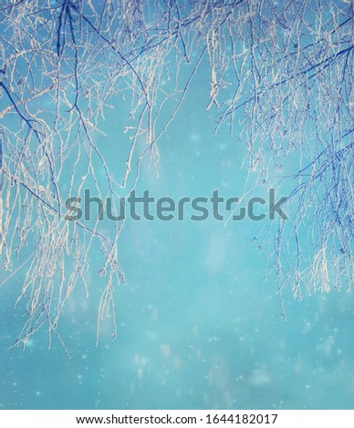 Beautiful winter background with sky, tree and snow, free space for your design, winter banner or card