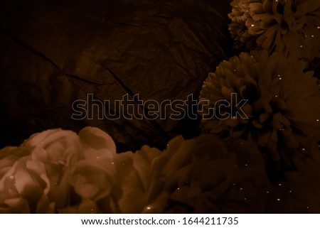 Beautiful abstract color red yellow and brown flowers graphic on black background and light yellow flower frame and brown leaves texture, dark background, red banner happy valentine