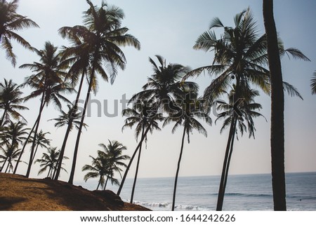 Coconut hill in Mirissa bay in Sri lanka. Popular touristic place for romantic sunrise and sunset. Turtle beach.