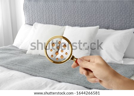 Woman with magnifying glass detecting bed bugs on bed, closeup