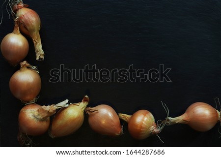 Photography of onions on slate background for restaurant menu