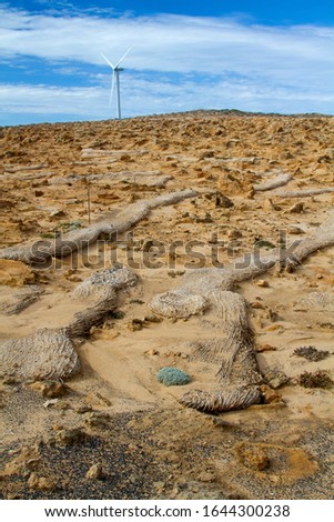 Strange rock shapes in Limestone Coast, South Australia, Australia.