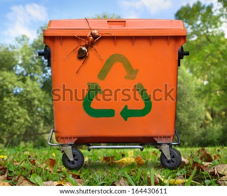 Recycled sign on garbage bin and large ant